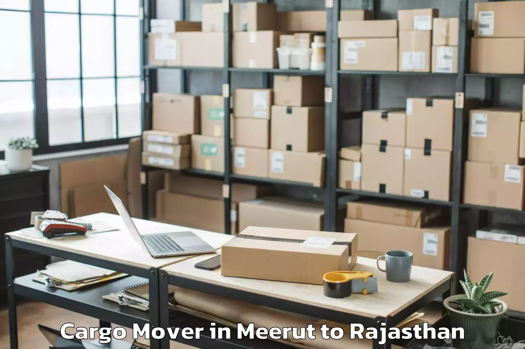 Easy Meerut to Sawai Madhopur Cargo Mover Booking